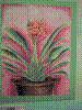 flower show2004 142.jpg